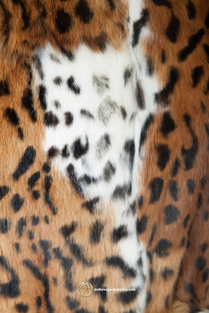 Екстравагантна шуба з хутра очеретяного кота «Аріанда»